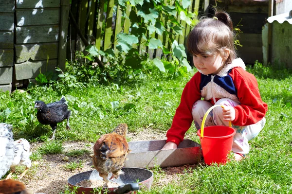 鶏に餌をやる少女 — ストック写真