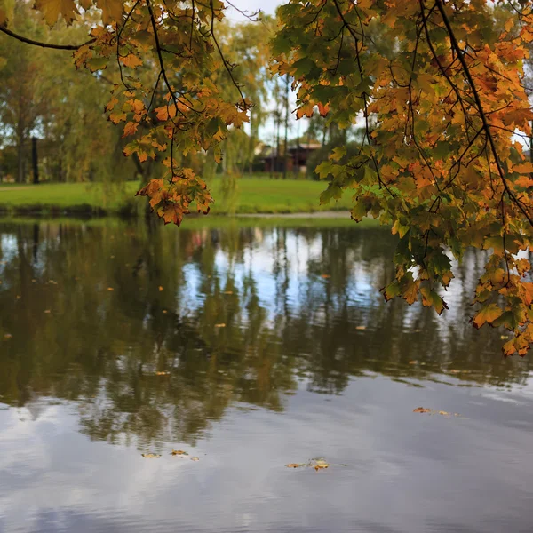 Göl sonbahar manzarası