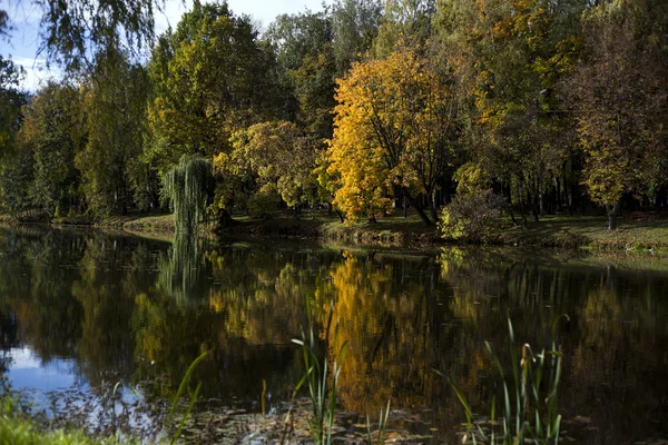 Herbstlandschaft des Sees — Stockfoto