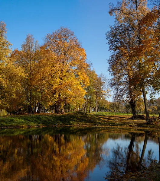 Herbstlandschaft des Sees — Stockfoto