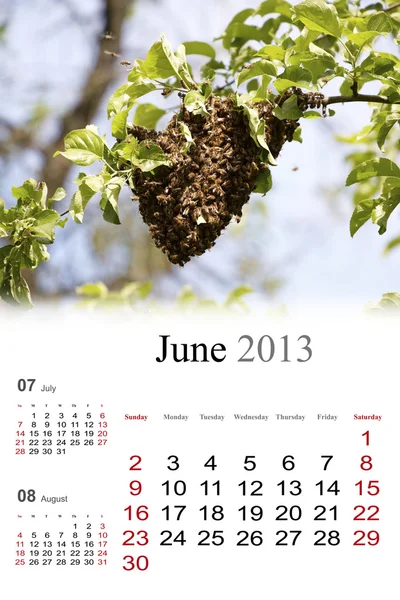 2013 日历。6 月 — 图库照片
