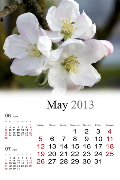 2013 kalender. mei — Stockfoto