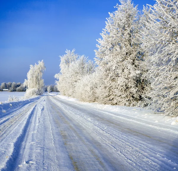 Strada invernale — Foto Stock