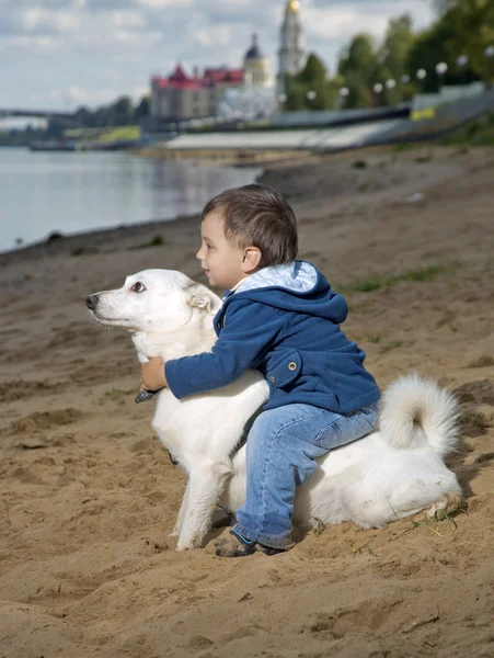 Çocuk bir köpeğin üstüne oturuyor — Stok fotoğraf