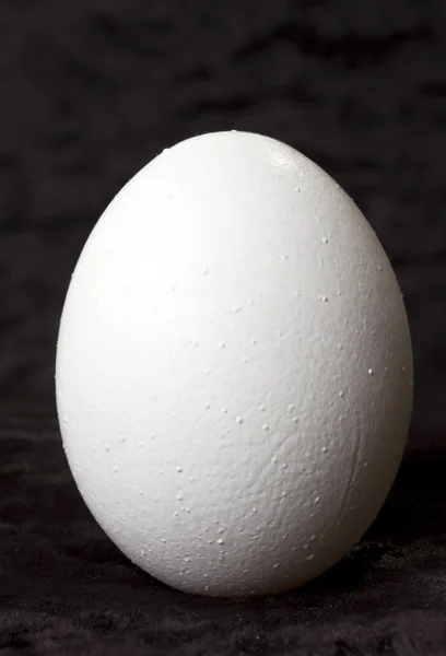 Białe jajko na czarnym tle — Zdjęcie stockowe