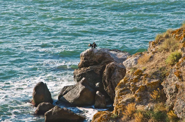 Sea and rocks — Stock Photo, Image