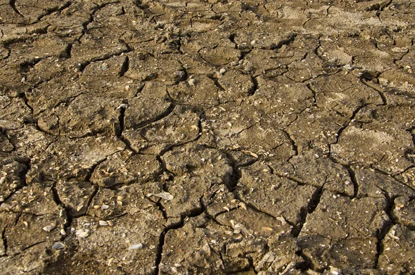 Dry soil — Stock Photo, Image