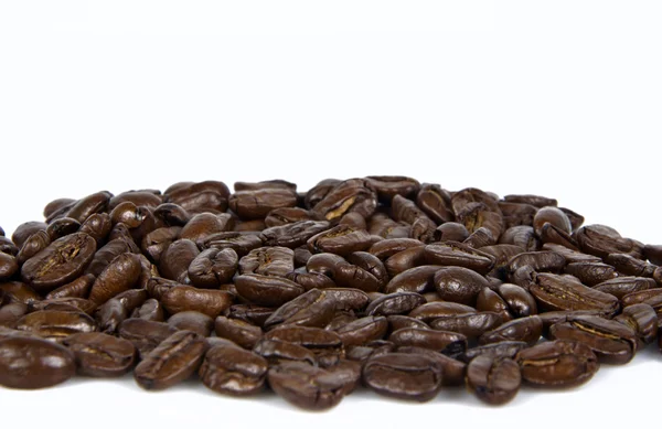 Coffee bean — Stock Photo, Image