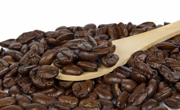 Coffee bean — Stock Photo, Image