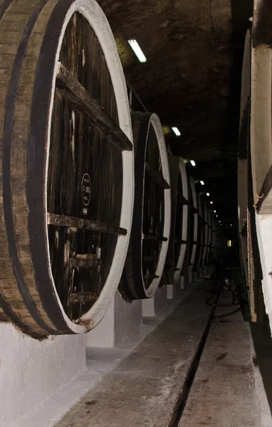 Şarap üretimi — Stok fotoğraf
