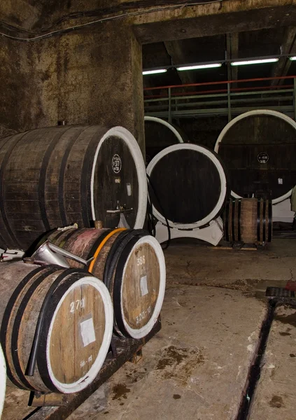 Produkcja wina — Zdjęcie stockowe