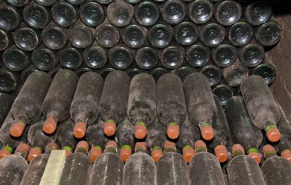 Samling vin i flaskor — Stockfoto