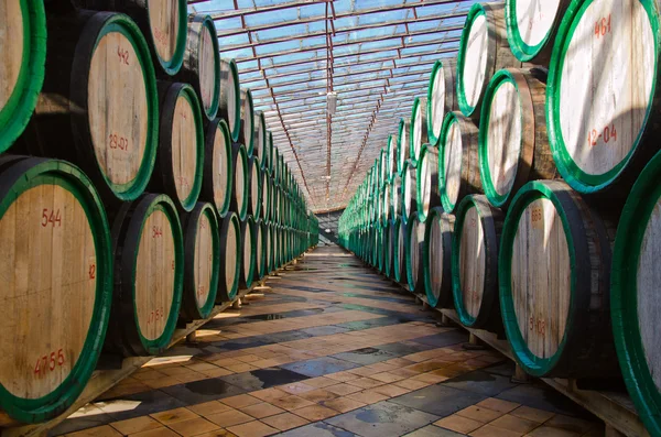 Barrels with wine — Stock Photo, Image