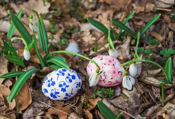 Kardelen ile Paskalya yortusu yumurta — Stok fotoğraf