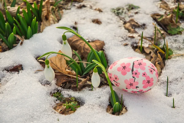 Huevos de Pascua con nevadas —  Fotos de Stock