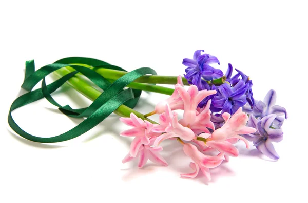 Bouquet of hyacinth — Stock Photo, Image