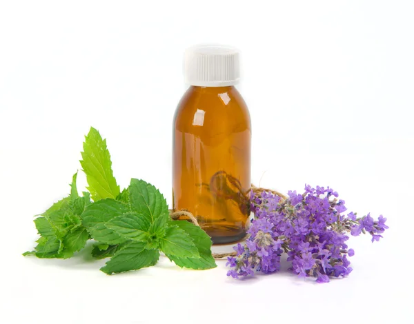 Lavender and spearmint — Stock Photo, Image