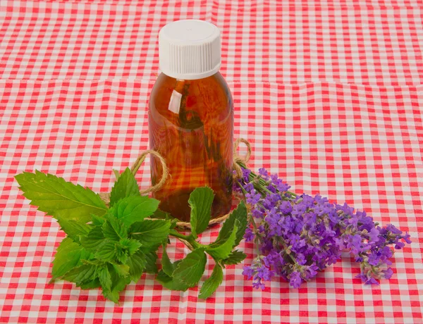 Lavender and spearmint — Stock Photo, Image