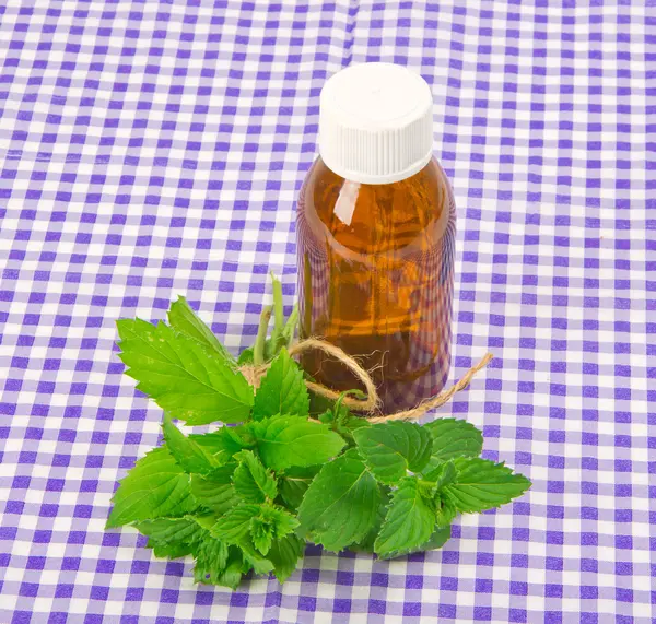 Spearmint — Stock Photo, Image