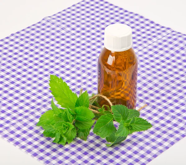 Spearmint — Stock Photo, Image