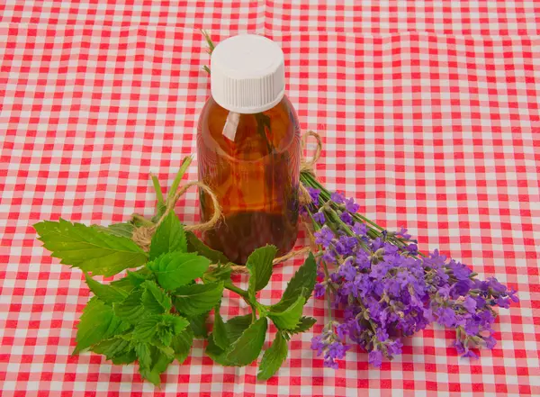 Lavender and spearmint — Stock Photo, Image