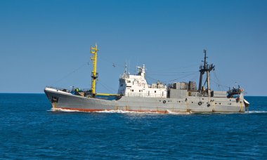 Balıkçı Balıkçısı