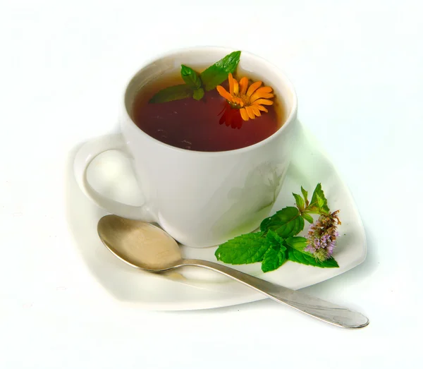 Травяной чай с мятой — стоковое фото