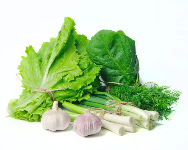 Bunches of greens — Stock Photo, Image