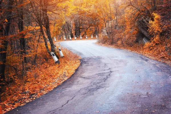 Weg in herfst hout. — Stockfoto