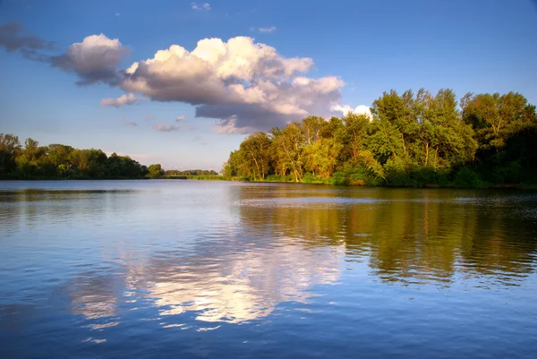 Fiume e foresta primaverile . — Foto Stock