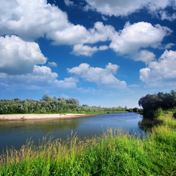 Fiume e foresta primaverile . — Foto Stock