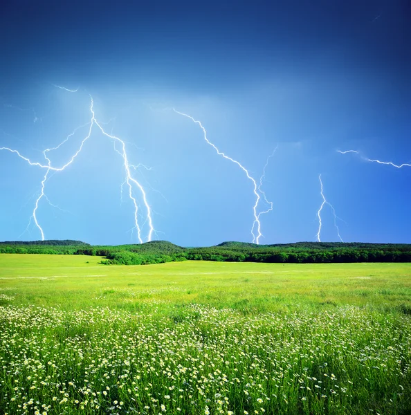 Lightning in meadow — Stock Photo, Image