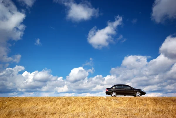 Mobil di padang rumput — Stok Foto