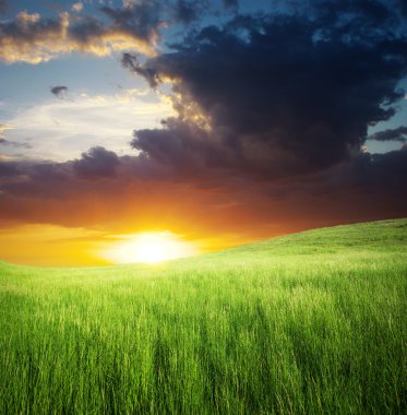 Dağdaki yeşil çayır.