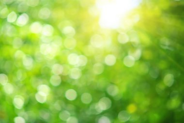 bokeh arka plan
