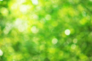 bokeh arka plan