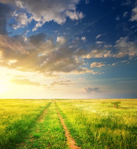 草原と真っ青な空の車線. — ストック写真