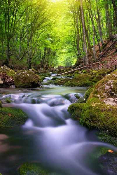 Река в горном лесу . — стоковое фото
