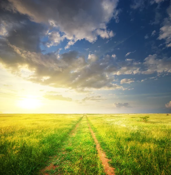 Voie dans prairie et ciel bleu profond . — Photo