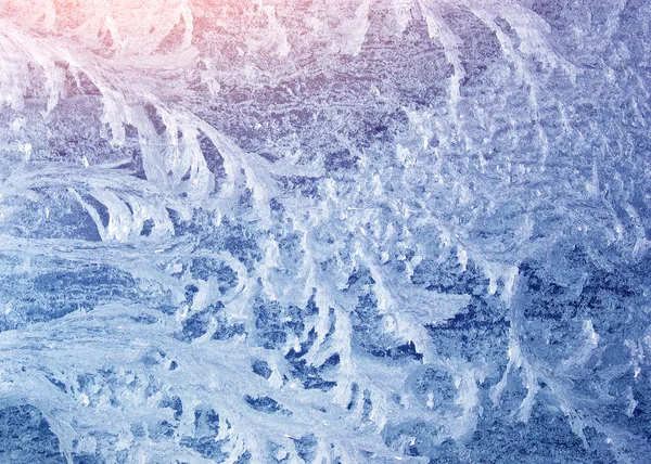 樹氷テクスチャ — ストック写真