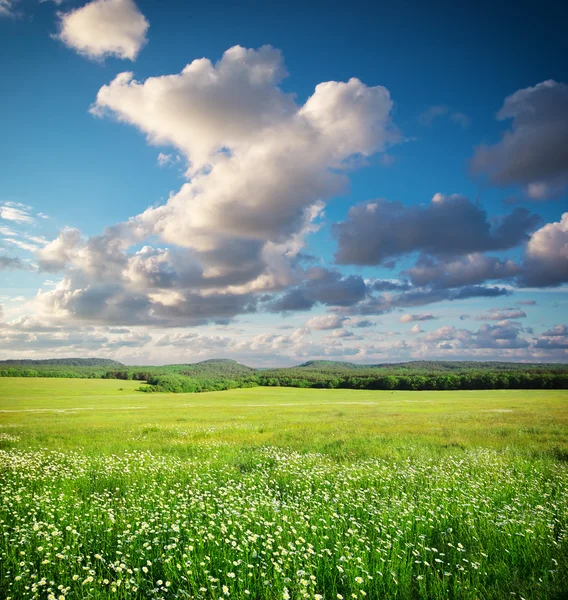 Grön äng i berg. — Stockfoto