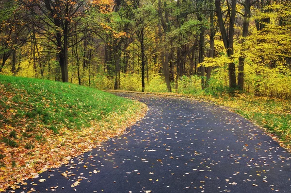 Straße im Herbstpark. Zusammensetzung der Natur. — Stockfoto