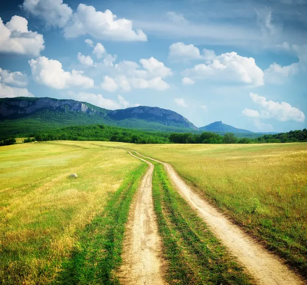 Dağ çayır yol şeritli. — Stok fotoğraf