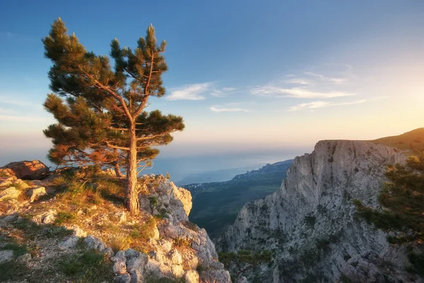 Coucher de soleil en montagne — Photo