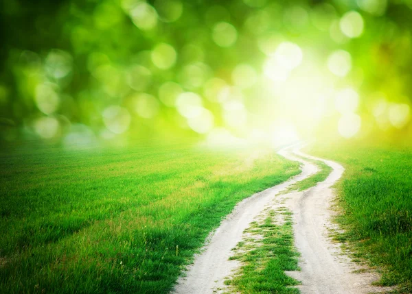 Way to sun — Stock Photo, Image