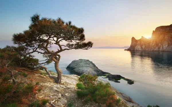 Mountain and sea. — Stock Photo, Image