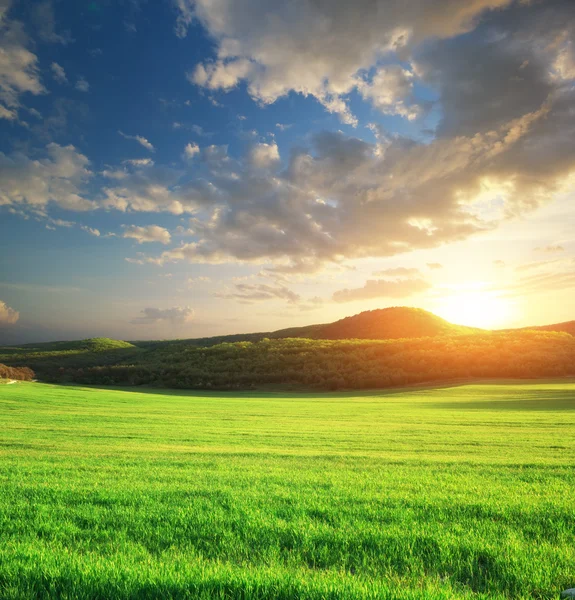 Pradera verde en la montaña. — Foto de Stock