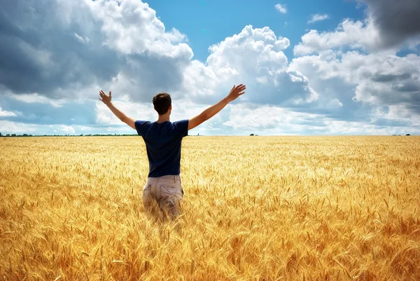 Man in meadow of wheat — Stockfoto