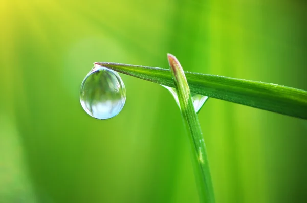 山の緑の牧草地 — ストック写真