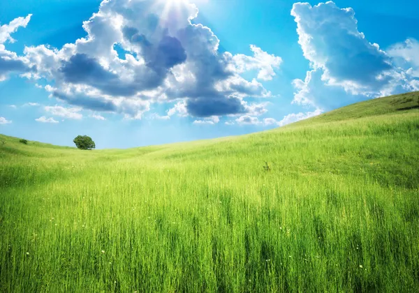 Pradera verde en la montaña — Foto de Stock